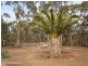 279 Cherry Tree Lane, Nagambie VIC 3608
