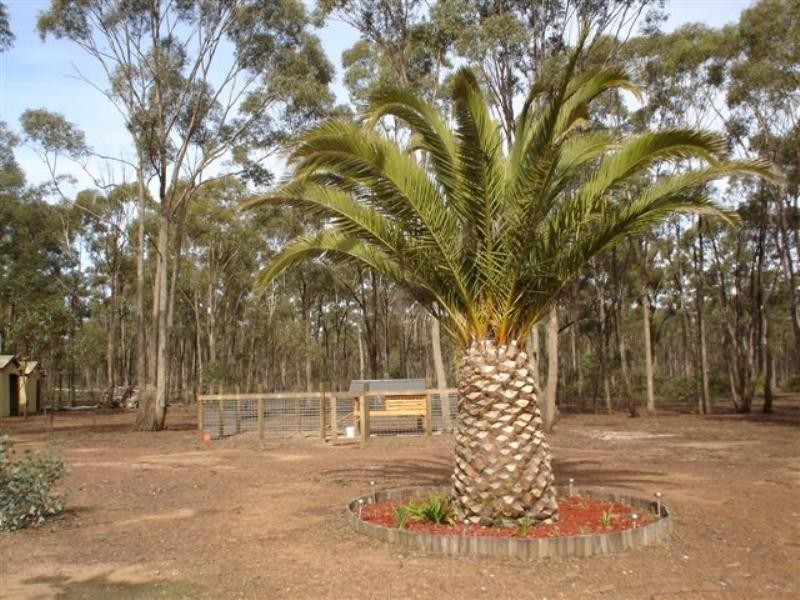 279 Cherry Tree Lane, Nagambie VIC 3608