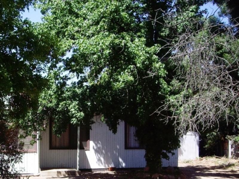 9 Plummer Street, Avenel VIC 3664