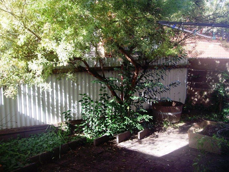 3 29-31 Young Street, Nagambie VIC 3608