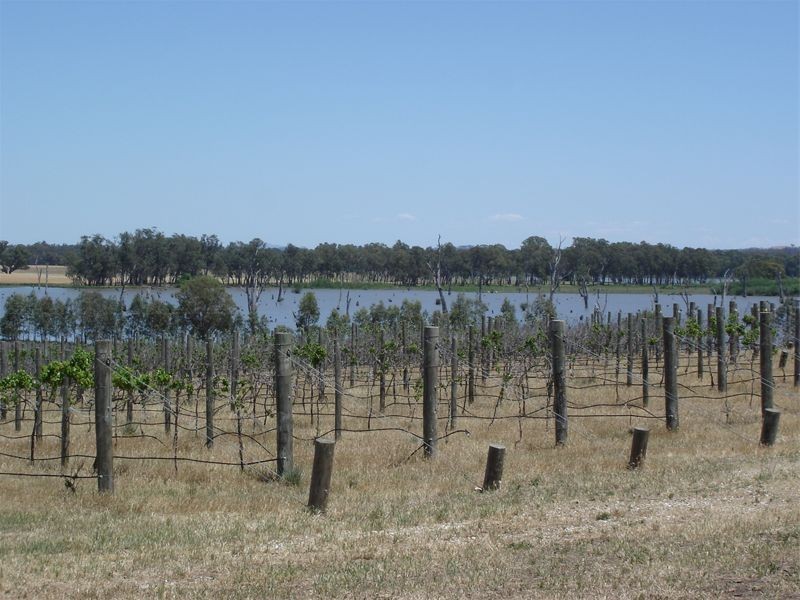 225 Lobbs Lane, Nagambie VIC 3608