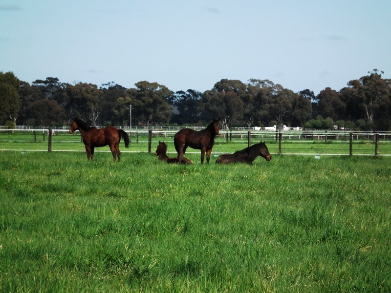 274 Nook Road, Nagambie VIC 3608