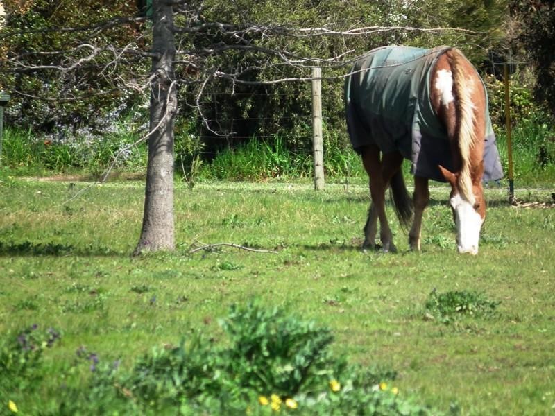 29 Racecourse Road, Nagambie VIC 3608