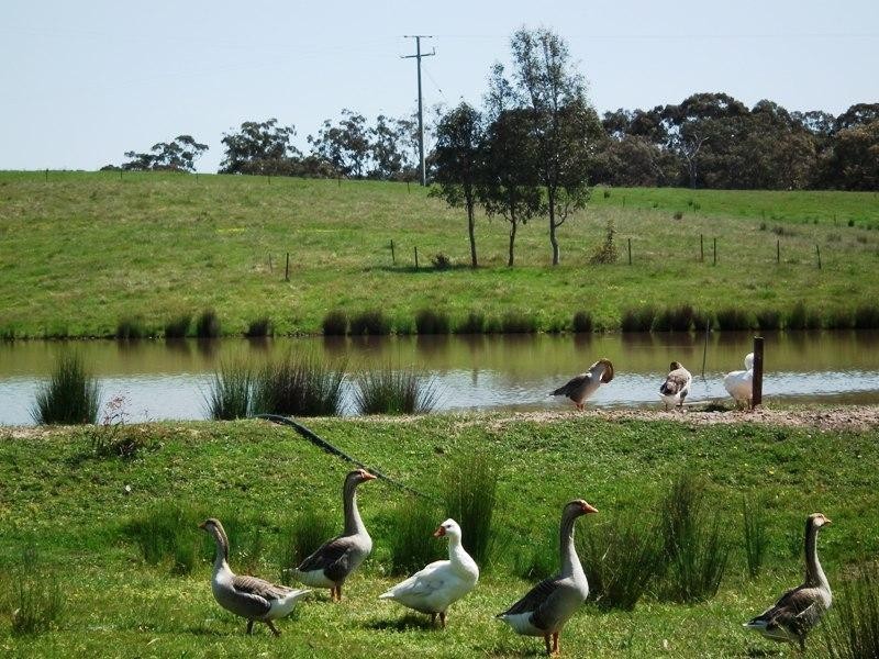 1310 Highlands Road, Seymour VIC 3660