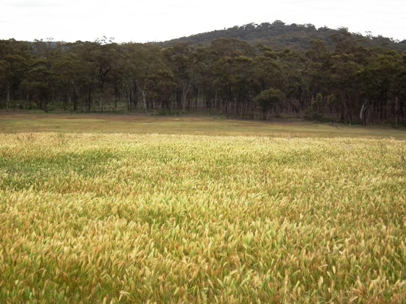 114 Pontings Lane, Nagambie VIC 3608