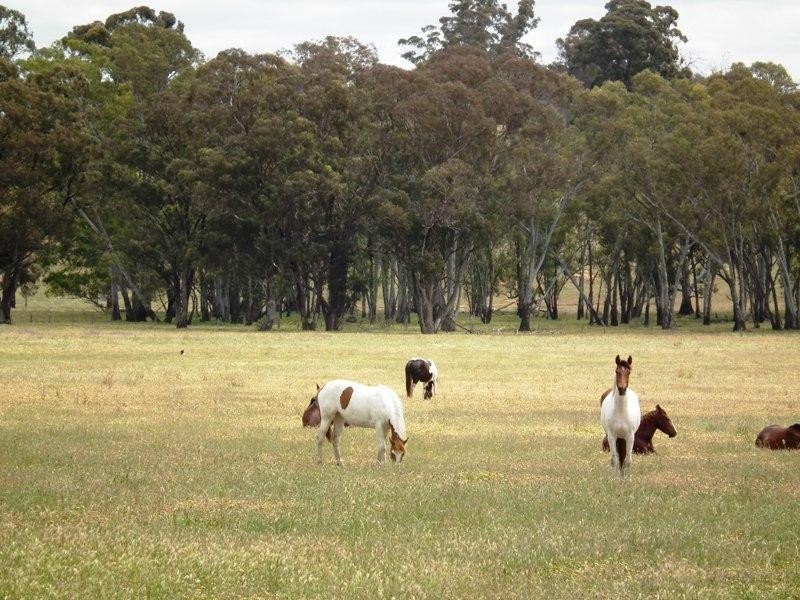 114 Pontings Lane, Nagambie VIC 3608
