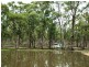 Lot 9 Cherry Tree Road, Bailieston VIC 3608