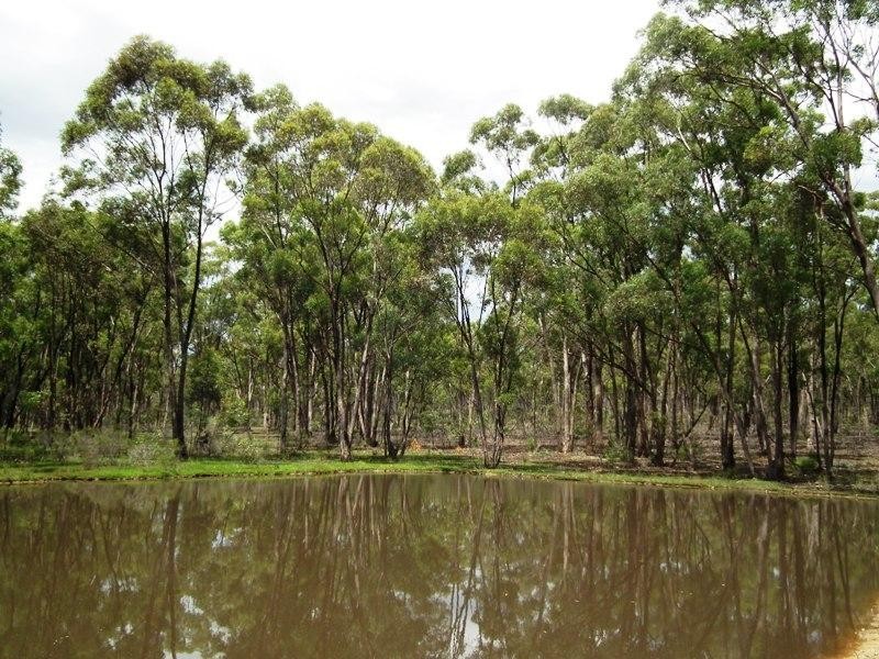 Lot 9 Cherry Tree Road, Bailieston VIC 3608