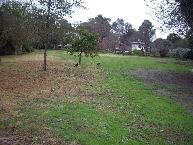 3 Avenel-Murchison Road, Avenel VIC 3664