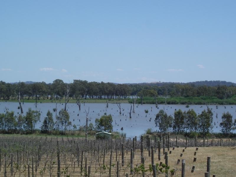 225 Lobbs Lane, Nagambie VIC 3608