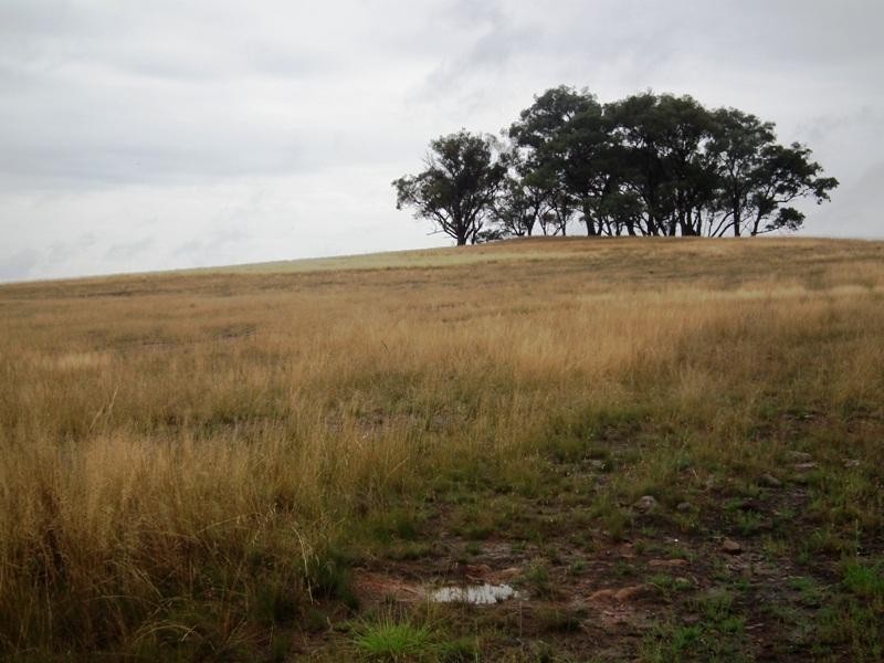 Lot 1 Nagambie Rushworth Road, Bailieston VIC 3608