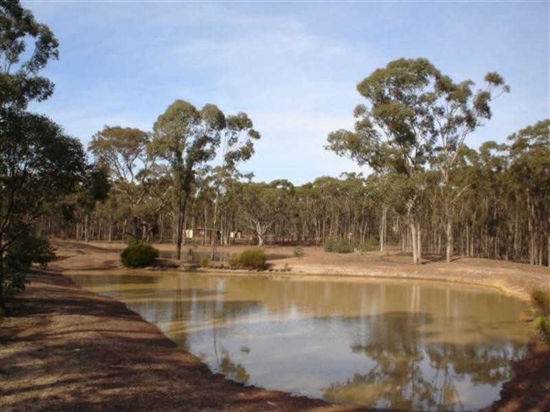 279 Cherry Tree Lane, Nagambie VIC 3608