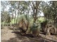 279 Cherry Tree Lane, Nagambie VIC 3608