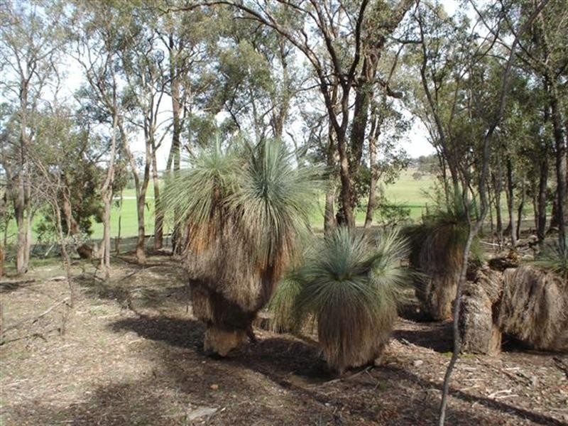 279 Cherry Tree Lane, Nagambie VIC 3608
