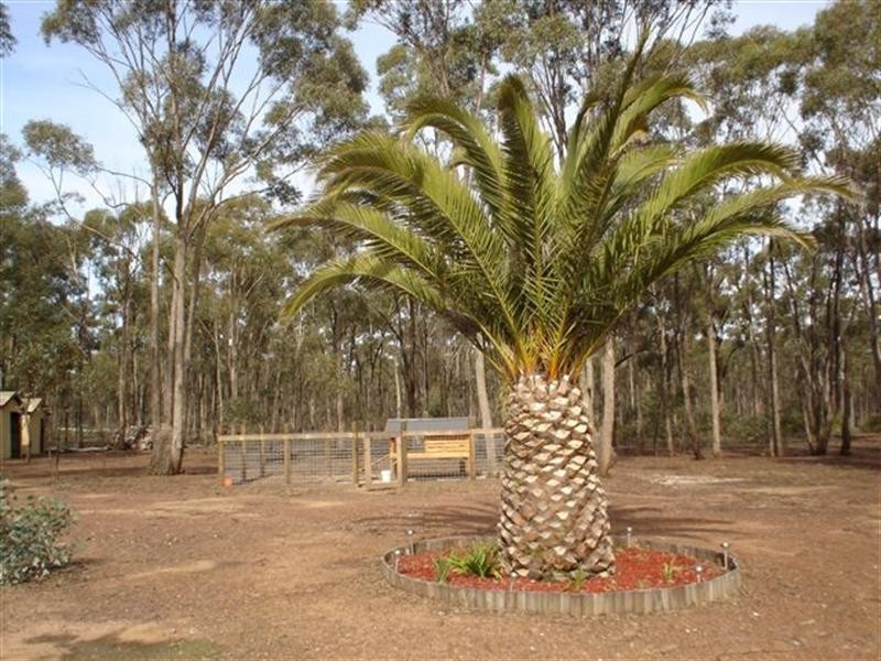 279 Cherry Tree Lane, Nagambie VIC 3608