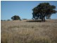 CA90A Lineham Lane, Bailieston VIC 3608