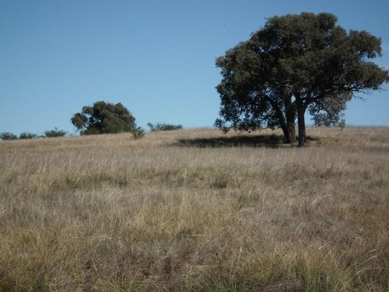 CA90A Lineham Lane, Bailieston VIC 3608