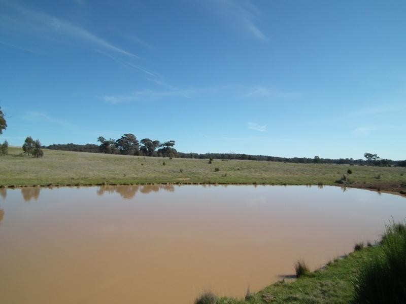 CA121A Nagambie Rushworth Road, Bailieston VIC 3608