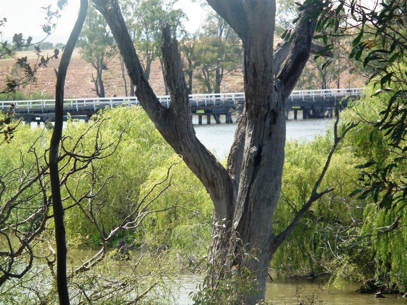 42 McLeod Street, Nagambie VIC 3608