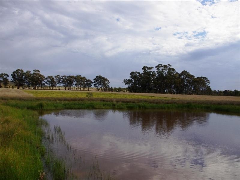 545 Wattlevale Road, Nagambie VIC 3608