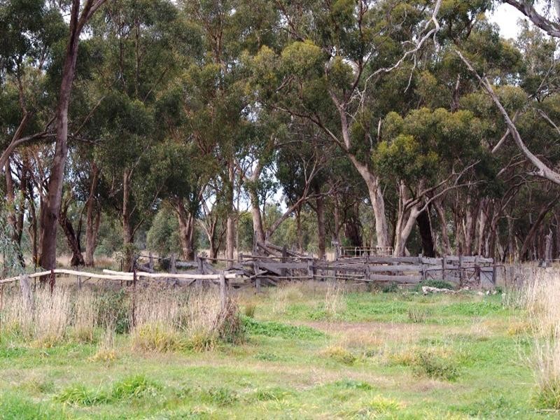 545 Wattlevale Road, Nagambie VIC 3608
