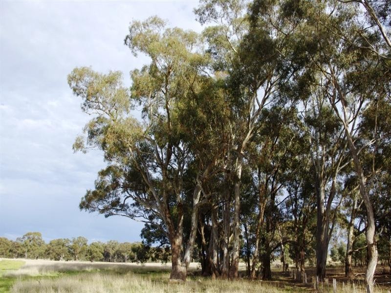 545 Wattlevale Road, Nagambie VIC 3608