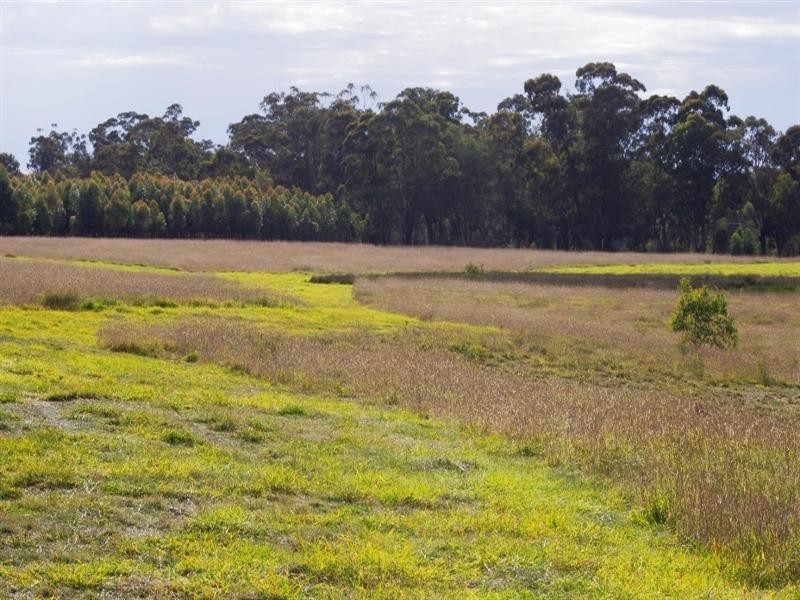 545 Wattlevale Road, Nagambie VIC 3608