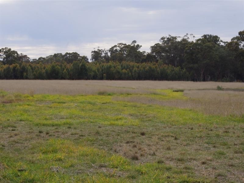 545 Wattlevale Road, Nagambie VIC 3608