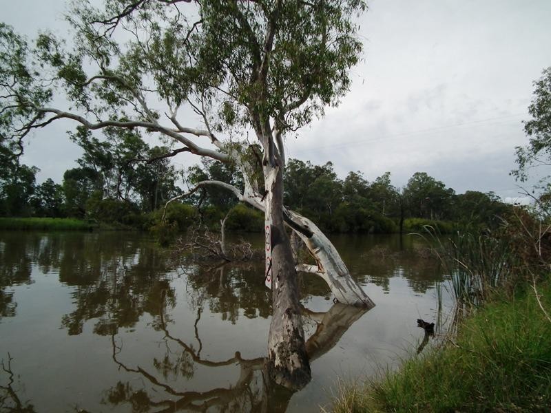 172 Vickers Lane, Nagambie VIC 3608