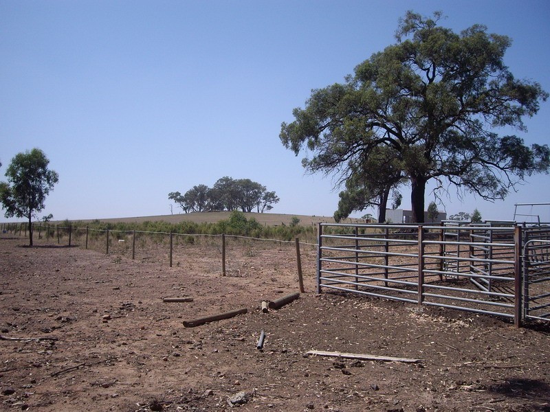 Lot 1 Nagambie Rushworth Road, Nagambie VIC 3608