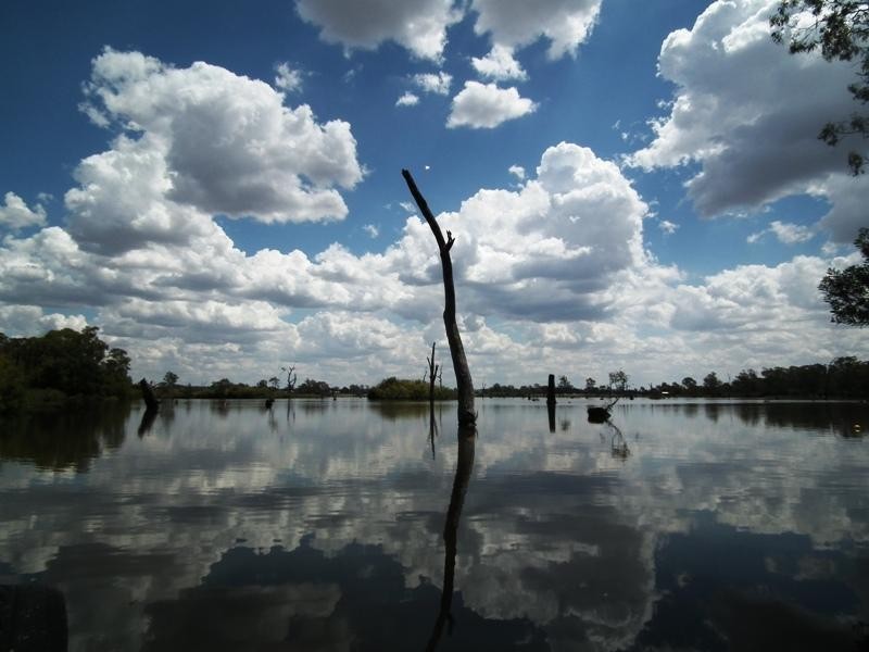 36 McLeod Street, Kirwans Bridge VIC 3608