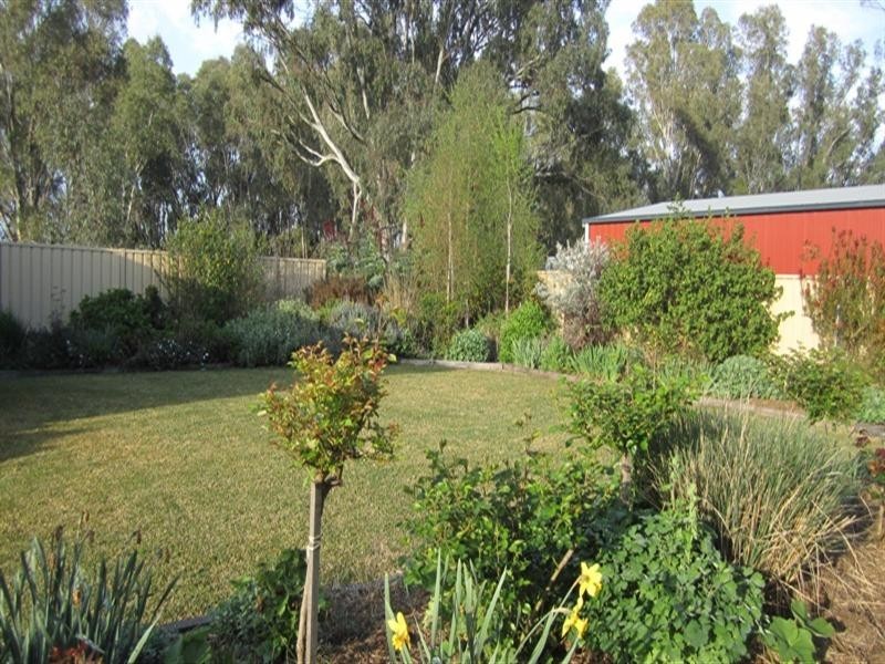 17 Barwon Street, Nagambie VIC 3608