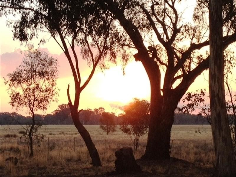 364 Carmodys Lane, Locksley VIC 3665