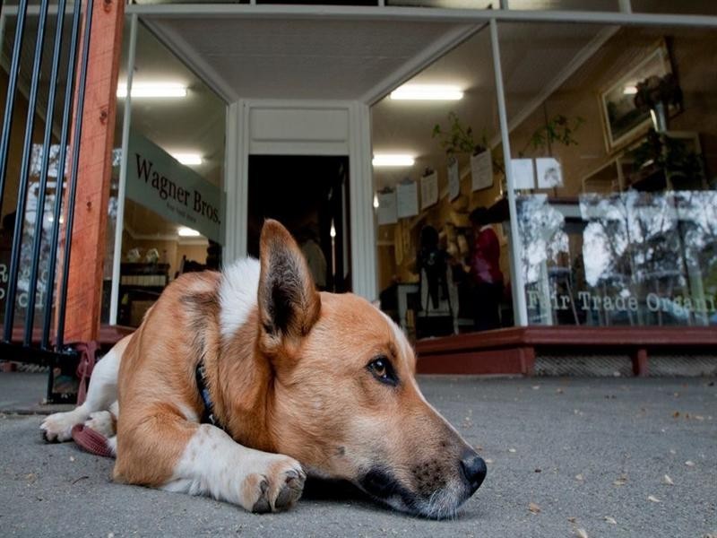 45 Stevenson Street, Murchison VIC 3610