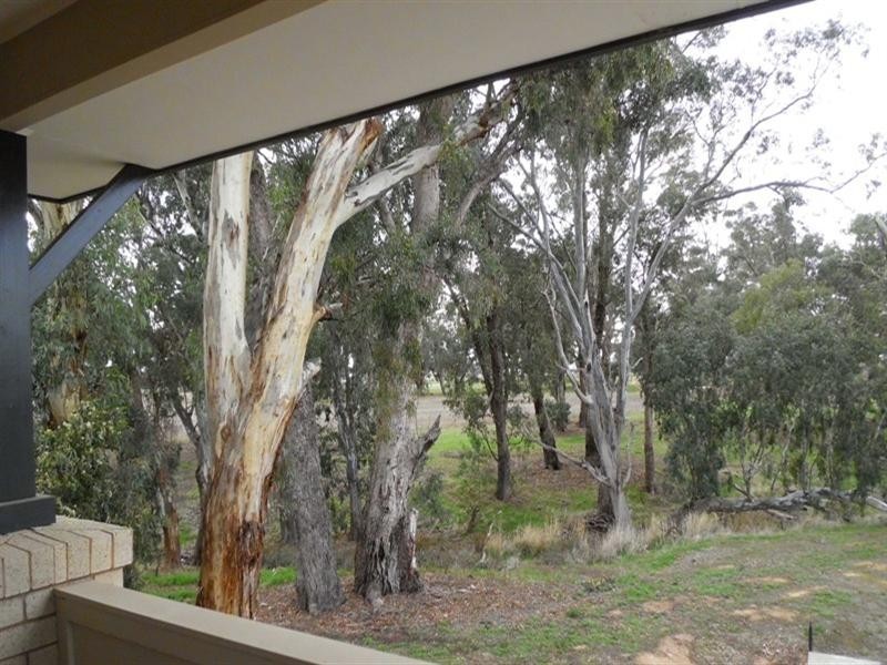 17 Ludovic Marie Court, Nagambie VIC 3608