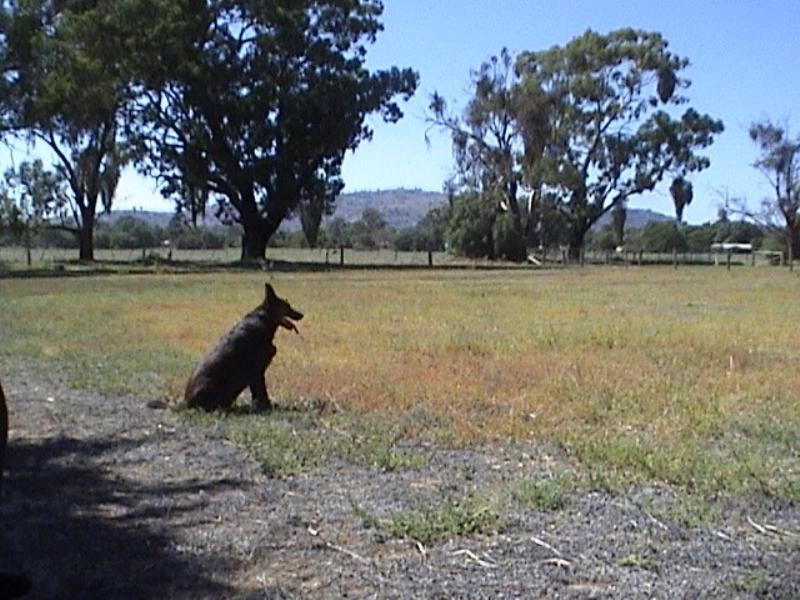 Level Lot  6 Hovell Street, Seymour VIC 3660