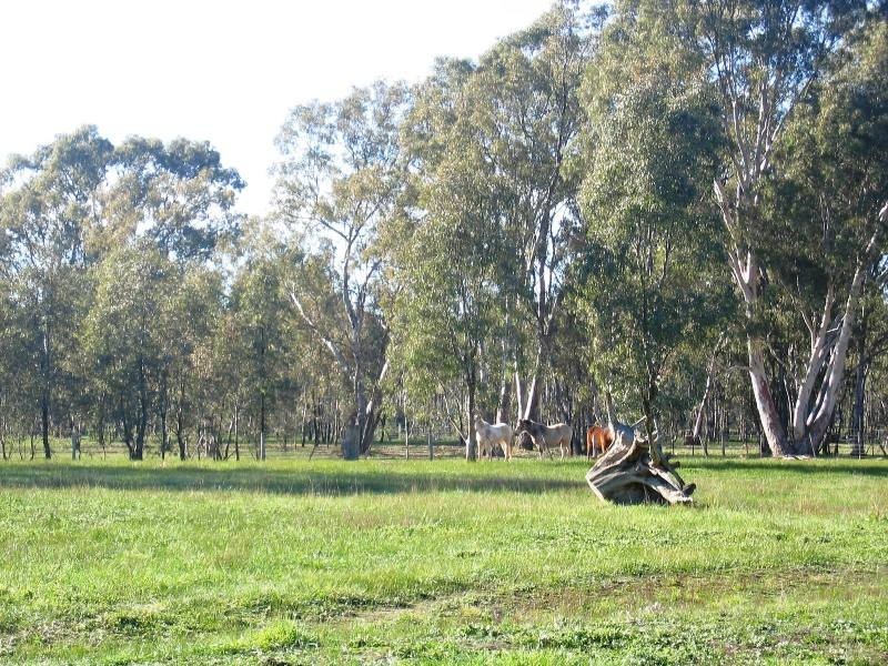 20 East West Halls Lane, Seymour VIC 3660