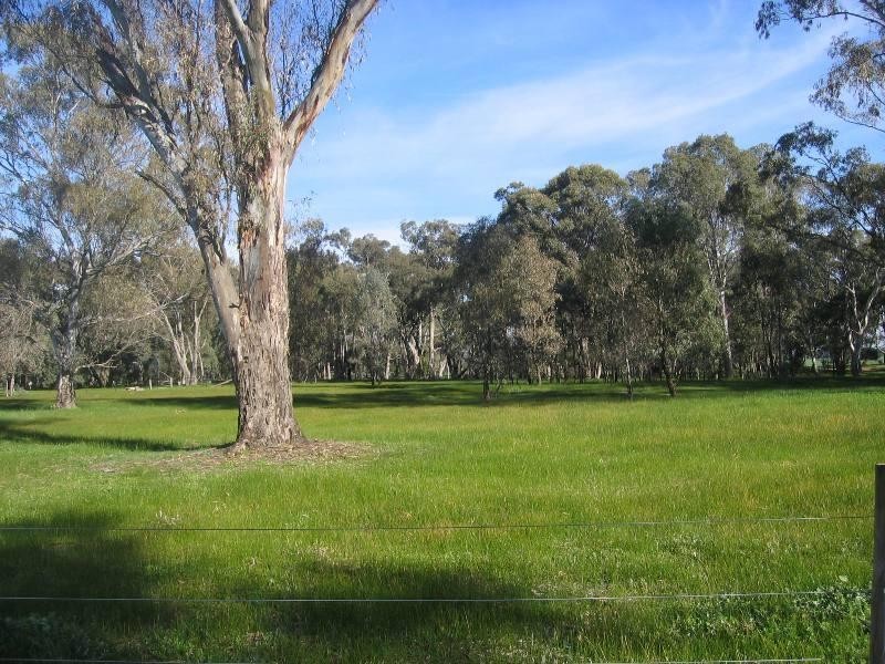 20 East West Halls Lane, Seymour VIC 3660