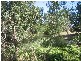 - Kent Street, Avenel VIC 3664