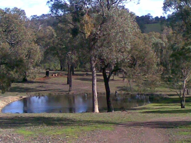 515 Seymour-Pyalong Road, Seymour VIC 3660