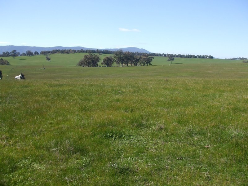 900 Sugarloaf Creek Road, Broadford VIC 3658