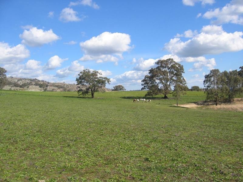 364 Upton Road, Avenel VIC 3664
