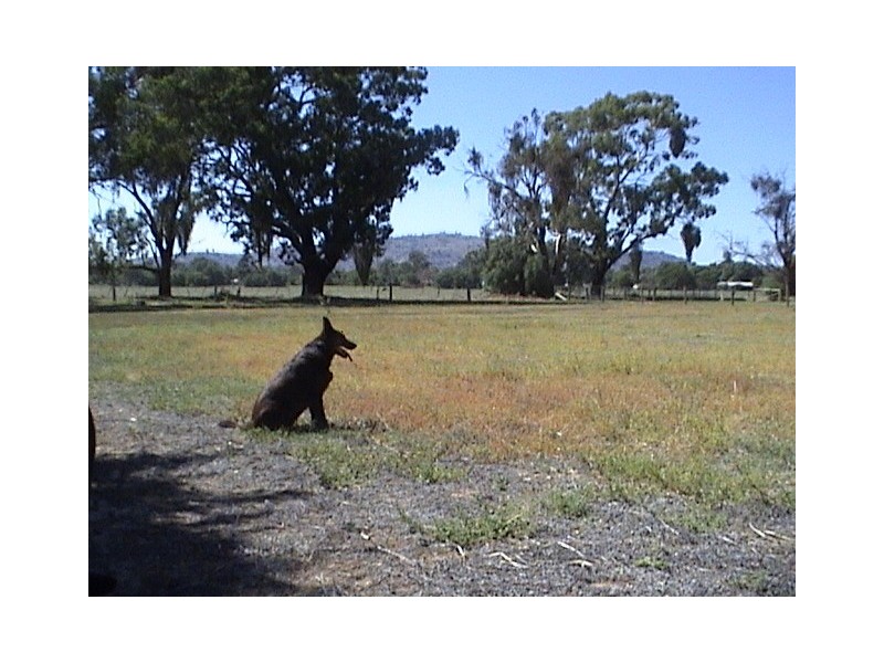 Level  Lot 6 Hovell Street, Avenel VIC 3664