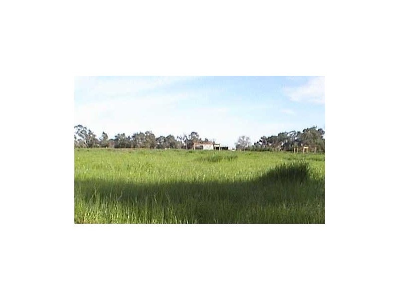 6 Hovell Street, Seymour VIC 3660