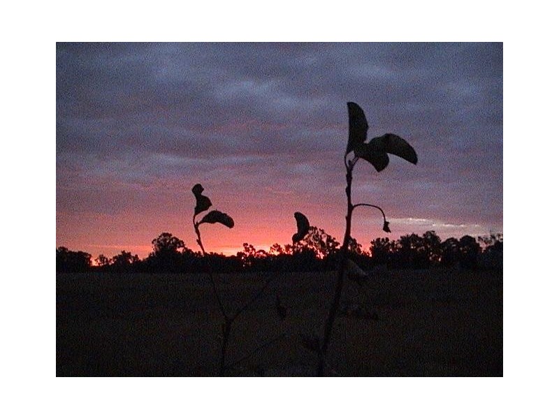 6 Hovell Street, Seymour VIC 3660