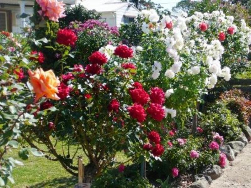 14 Alfred Street, Seymour VIC 3660