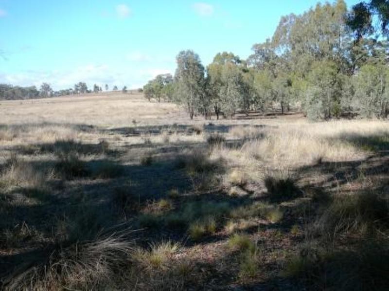 175 Sungarrin Road, Seymour VIC 3660