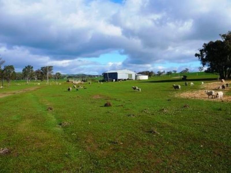 200 Bridle Track, Seymour VIC 3660