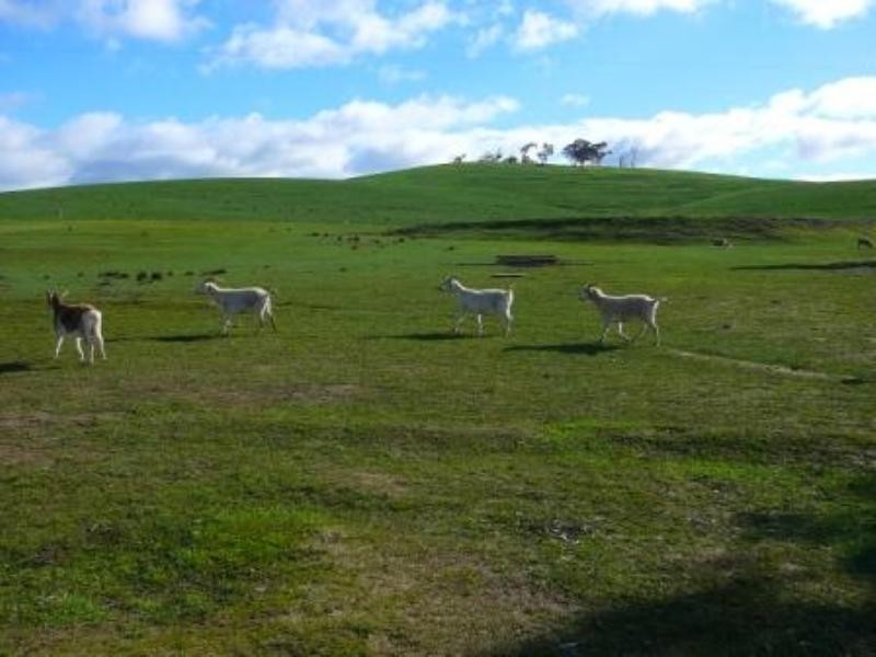 200 Bridle Track, Seymour VIC 3660