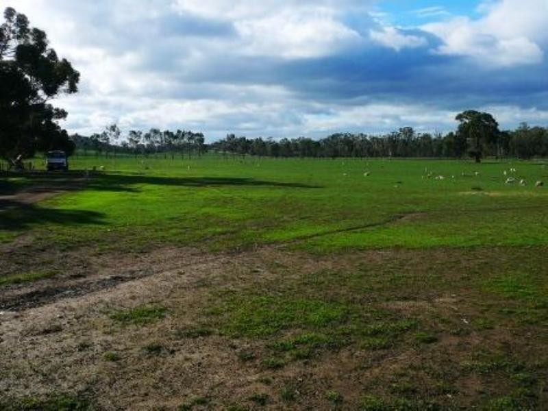 200 Bridle Track, Seymour VIC 3660